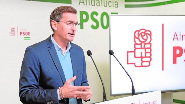 El PSOE de Andalucía mantiene a dos cargos imputados por supuesta corrupción