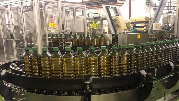 Jaéncoop invierte 12 millones de euros en una nueva envasadora de aceite de oliva