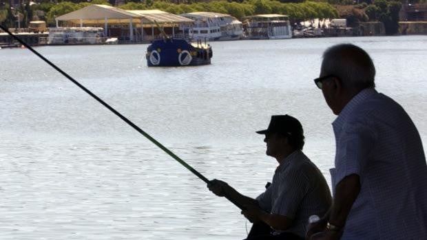 Andalucía prohíbe usar explosivos, drogar o disparar a los peces para capturarlos