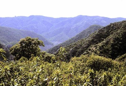 Parque natural de la Sierra de Hornachuelos