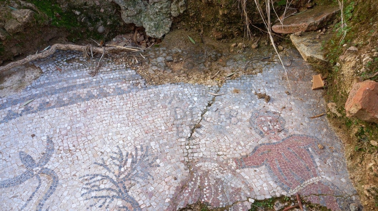 Fragmento del mosaico romano encontrado en Adamuz