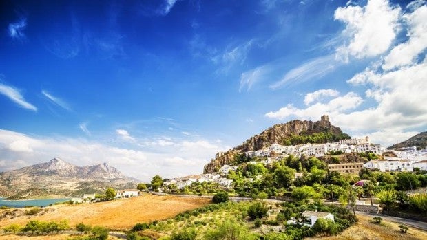 Andalucía en cifras: Un mar de olivos entre la cal de 785 pueblos