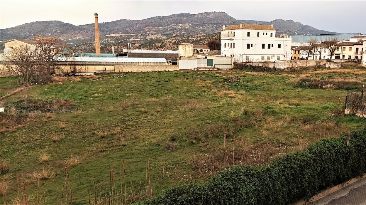 Terrenos donde se construirá el nuevo Mercadona de Priego de Córdoba