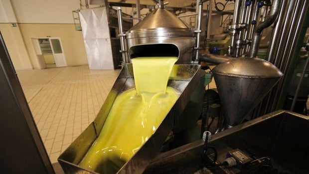 El precio del aceite de oliva lampante rompe la barrera de los 3 euros por kilo