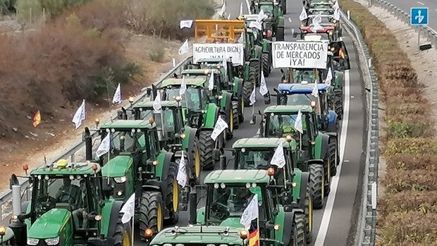 Un millar de agricultores en unos 500 tractores protestan por su supervivencia en Antequera