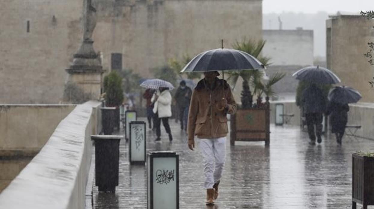 Varias personas transitan con paraguas, en medio de la lluvia, el Puente Romano de Córdoba