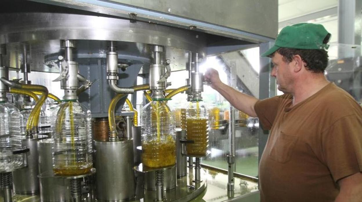 Producción de aceite de oliva en Priego de Córdoba, en una imagen de archivo