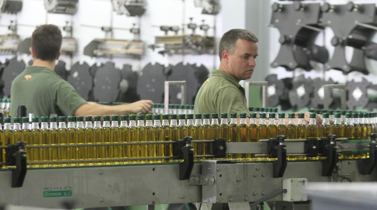 Trabajadores en una aceitera de Priego de Córdoba