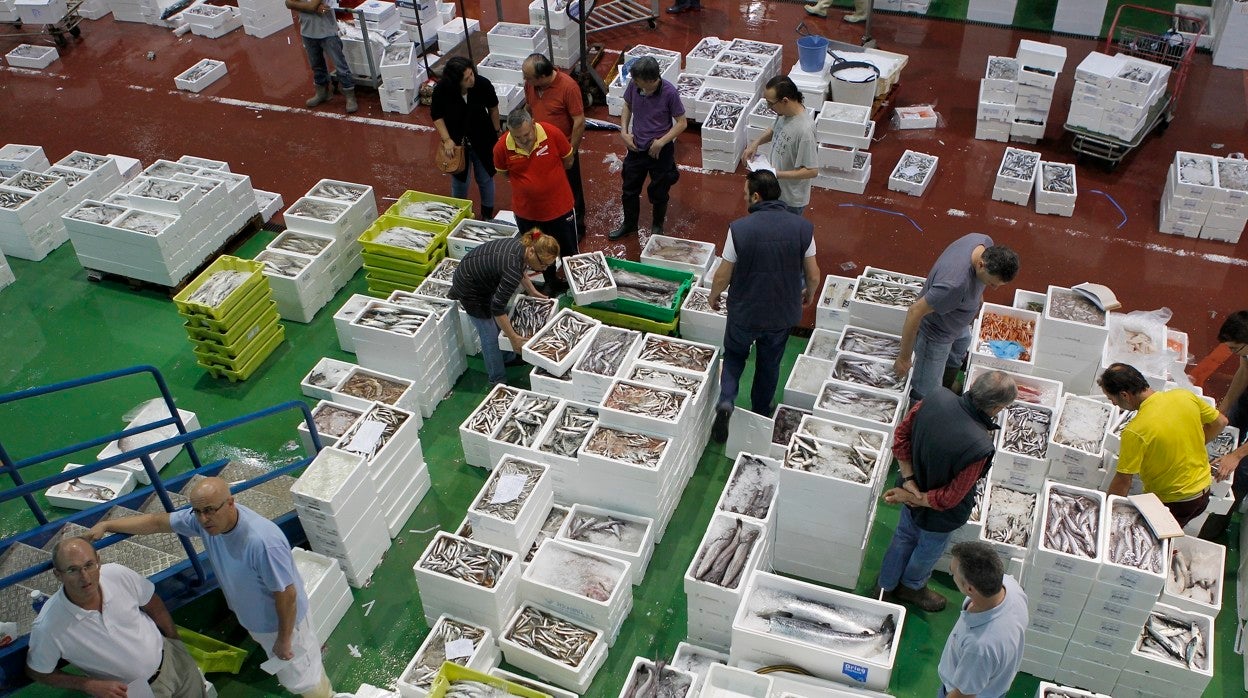 Zona de pescados de Mercacórdoba