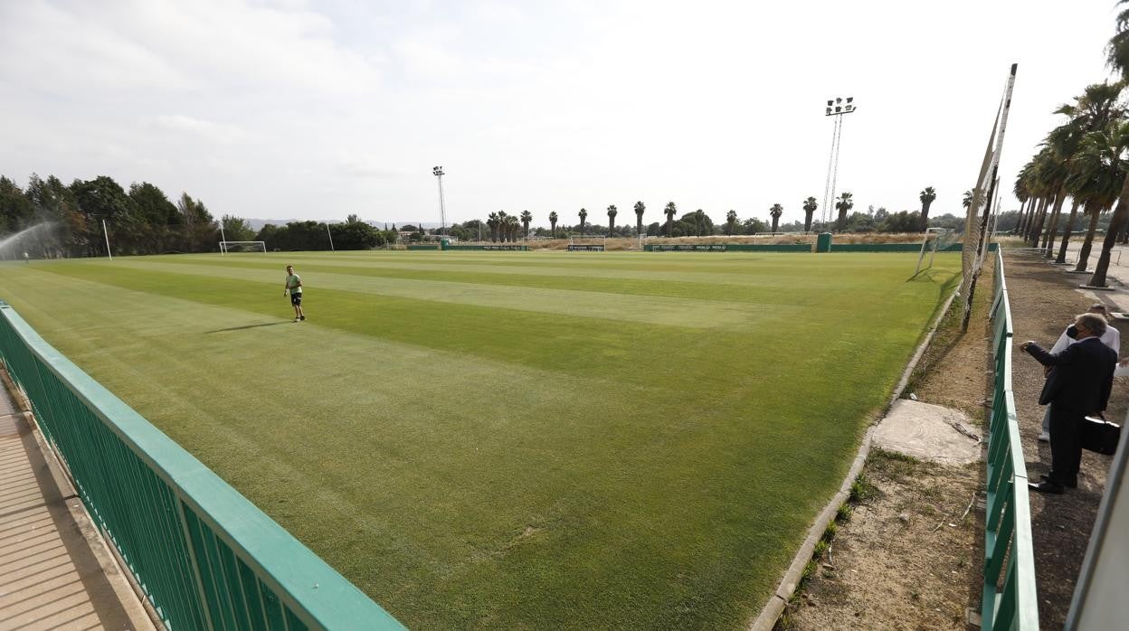 La grada y el campo de césped natural de la Ciudad Deportiva Rafael Gómez