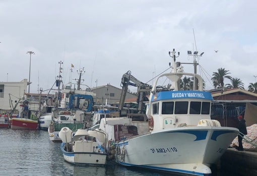 La flota permanece amarrada en la Caleta de Vélez