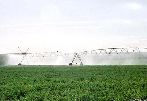 Un mecanismo de aspersión de agua en una explotación agraria