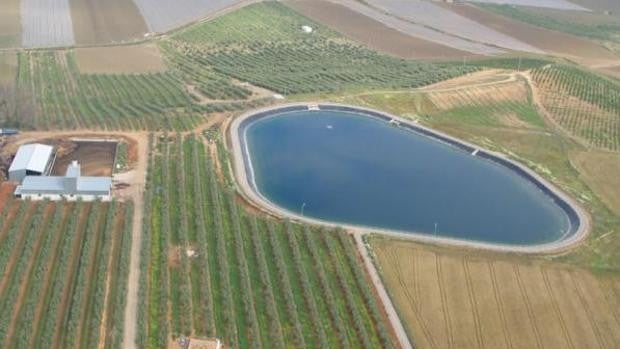 La Junta apoya en Córdoba con dos millones a la nueva balsa de riego de los regantes de Palma del Río