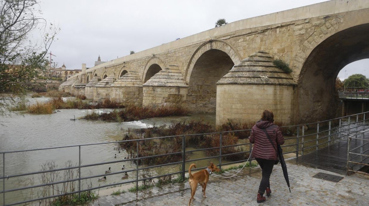 Una mujer con su mascota en los bajos del Puente Romano