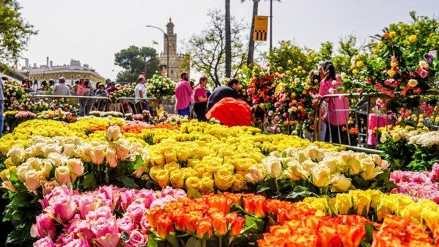 El festival de Córdoba Flora instala en Sevilla 20.000 rosas en la obra 'Ultraefímera'