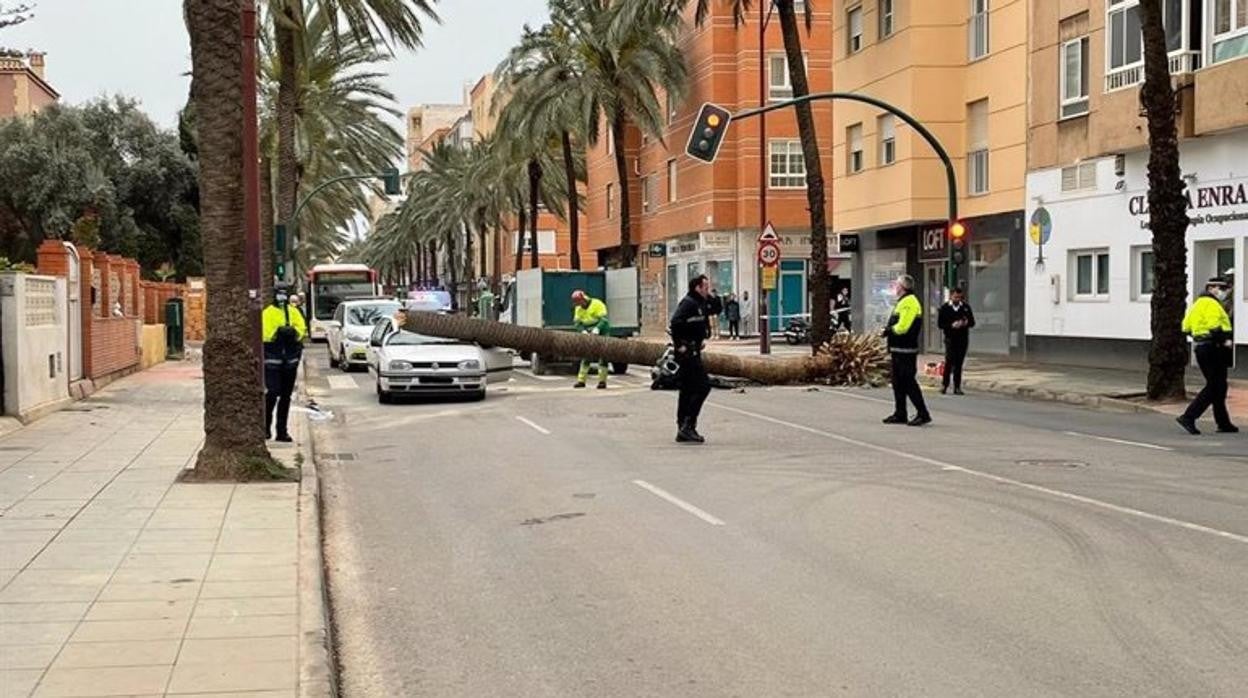 Imagen tomada tras el siniestro en el que han perdido la vida dos personas