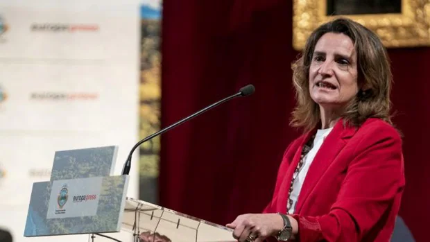 Teresa Ribera debe comparecer en el Senado para explicar su postura sobre los cultivos de Doñana