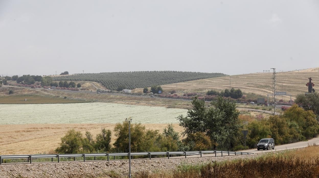 Parte de los suelos donde se levantará la Base Logística del Ejército de Tierra