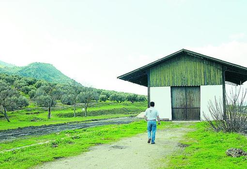 Una estación rehabilitada en la Vía Verde del Aceite