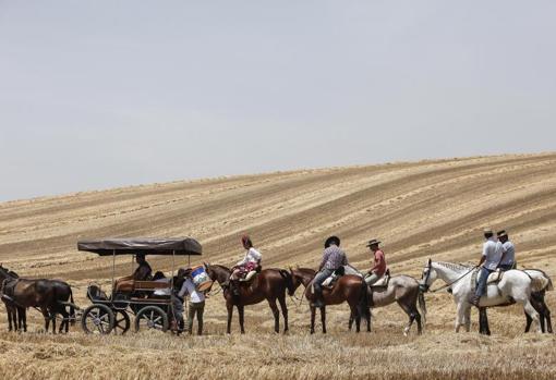 Jinetes por la Vía Verde de la Campiña de camino al Rocío