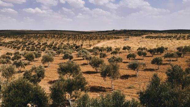 Así es la inmensa finca de Jaén que se vende por casi 58 millones de euros