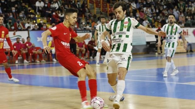 El Córdoba Patrimonio vuelve a la acción con otro maratón de partidos tras dos semanas sin jugar