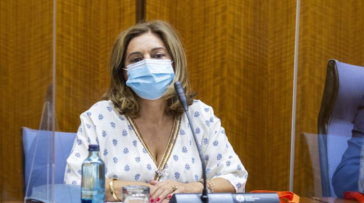 La mujer de Juan Espadas, Carmen Ibanco, declarando sobre su trabajo en la Faffe ante una comisión en el Parlamento andaluz