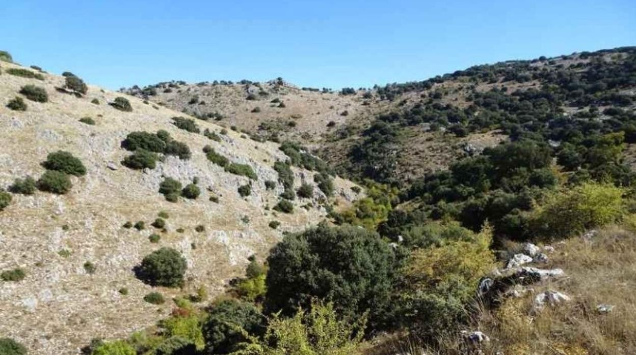 Cañón del Bailón, entre Cabra y Zuheros