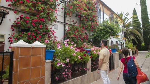 Mayo Festivo de Córdoba | El concurso de Rejas y Balcones contará con 29 participantes