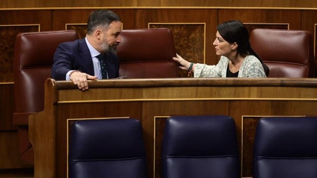 Macarena Olona recién elegida candidata de Vox: «Comienza la Toma»