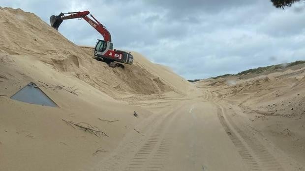 La duna móvil de Valdevaqueros que todo lo engulle a su paso