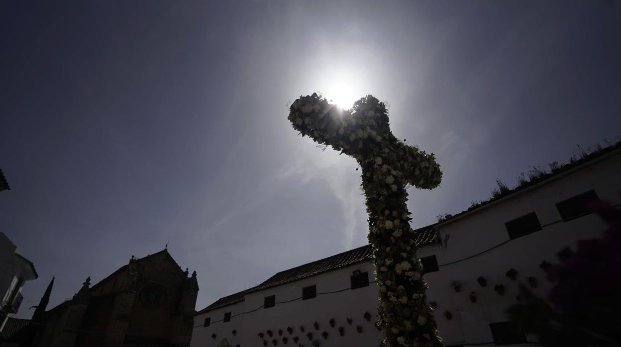 Cruz de Mayo en Conde de Priego