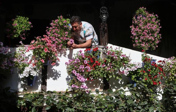 (Videoanálisis) 'Córdoba, al punto' | Patios, escuelas de vida