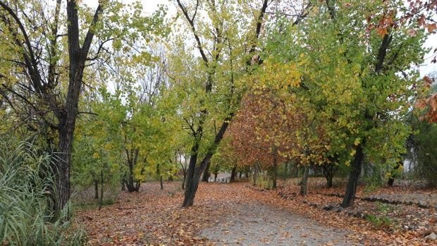El Ayuntamiento de Lucena perfila la obra para integrar el paraje del Cascajar como una zona verde