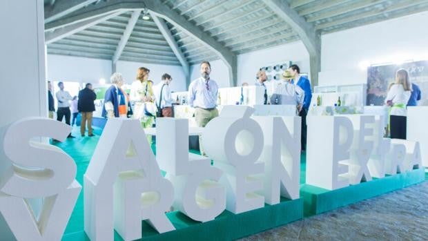 Los mejores aceites virgen extra se expondrán en la Feria del Olivo de Montoro