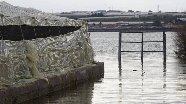 Muere un niño de nueve años ahogado en una balsa de agua en El Ejido