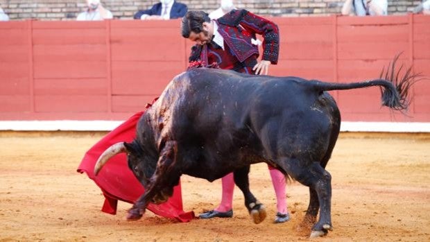 Toros en Córdoba 2022 | Todo lo que necesitas saber de la Feria de Mayo