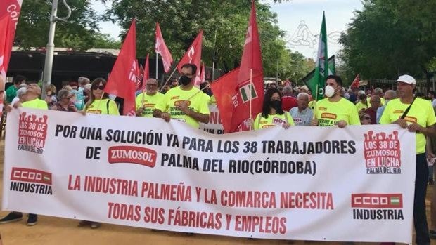 Los trabajadores de Zumosol vuelven a pedir ayuda de las Administraciones