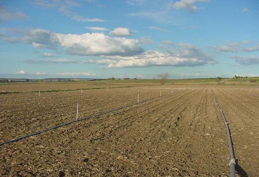 Imagen de una instalación de regadío en una explotación agrícola