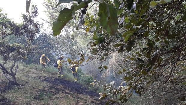 Declarado un incendio en Espiel, en el paraje de arroyo de El Valle