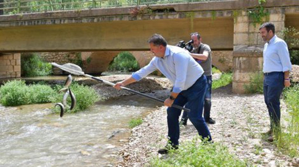 Imagen de la suelta de truchas arcoíris en Ríofrío