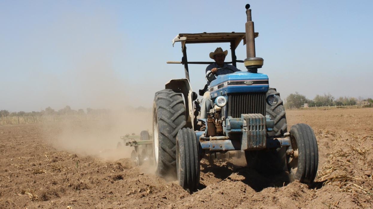 Un tractor en tareas agrarias sobre un cultivo