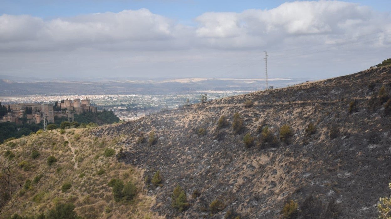 Imagen de parte de las hectáreas calcinadas en el valle del Darro