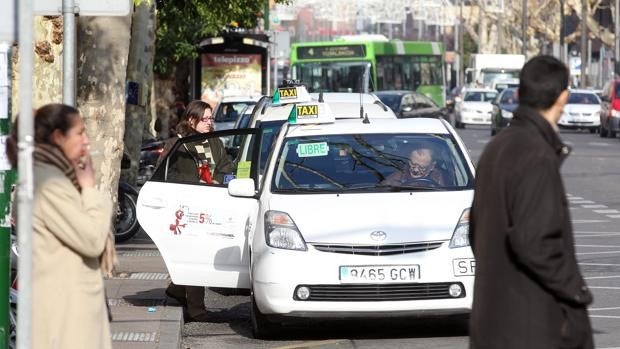 El Ayuntamiento de Córdoba apuesta por que no se fume en las paradas de taxis y de autobuses