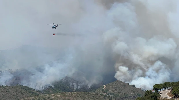 El fuego calcina 13.500 hectáreas en un año en Sierra Bermeja sin que haya detenidos