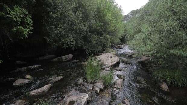 El Ayuntamiento de Córdoba recurre dos sanciones por vertidos de aguas residuales