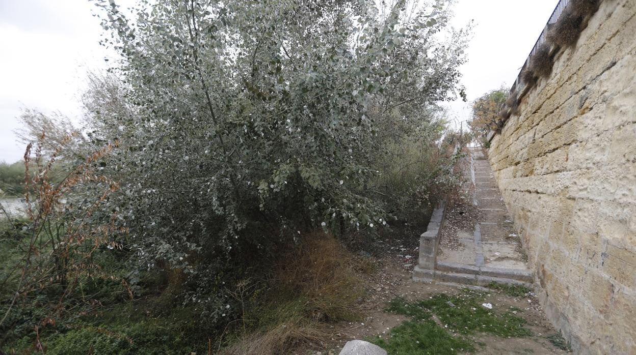 Ribera del Guadalquivir a su paso por Córdoba