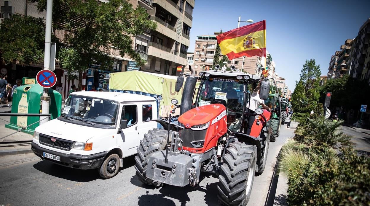 Imagen de la manifestación de este miércoles en Granada