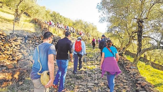 Trabajo en el campo para los universitarios por mil euros al mes