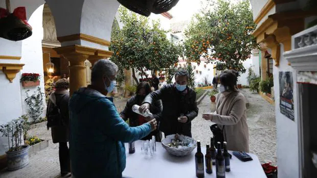 Patios Navidad Córdoba | Unos 40 recintos abrirán sus puertas el próximo 15 de diciembre